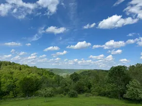 Driftless Log Cabin w/ Kickapoo Valley View - Image 3
