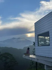 Sú Mỏ Choi Đà Lạt - Image 2