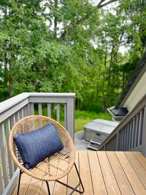Brand New Suite in the Trees! - Image 4