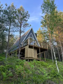 Idyll in the forest - Image 3