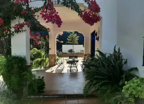 La Retamilla - Image 3