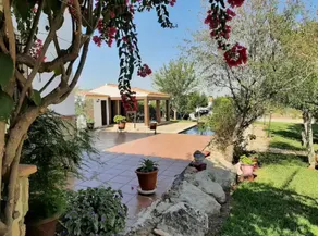 La Retamilla - Image 4