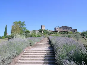 Farmhouse 15 km from San Gimignano - Image 5