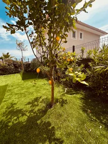 New House Gulf of St Tropez - Image 3