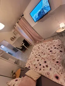 Apartment 12 minutes from Paris - Image 2