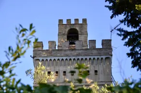 19th Century Villa with Guesthouse, Swimming Pool - Image 2