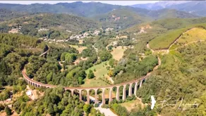The modern Galibot of the Cévennes - Image 2