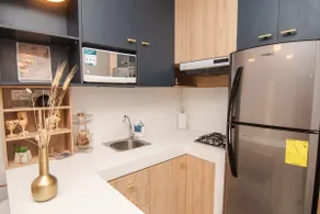 Smart Suite in a residential development - Image 4