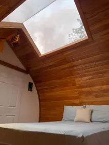 Love Nest - Image 4