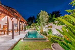 Palm Paradise - Image 2