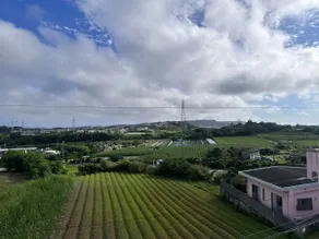 Newly built! 25 min drive to the airport, 1 min walk to the convenience store, 9 min walk to Okinawa World, close to Costco - Image 4