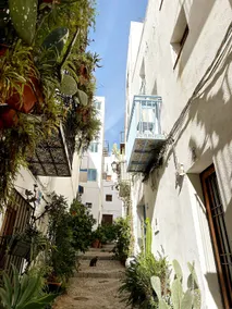 Casa Blava, Casco Antiguo de Peñíscola - Image 3