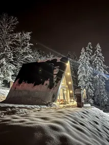 4seasons Pale Jahorina Cottage - Image 2