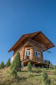 Cabin surrounded by Christmas trees - Image 2