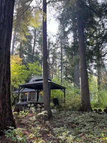 Cozy Riverside Cottage on Oregon’s McKenzie River - Image 3