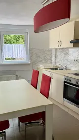 Spacious apartment with bath, kitchen, living room - Image 4