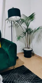 One Bedroom Airbnb in Juja. Near Jomo Kenyatta Uni - Image 3