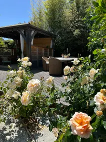 Warm Rustic Garden Retreat/Private Yard/Near SF - Image 2