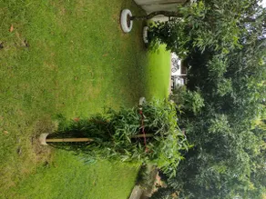 skewer site - Image 5
