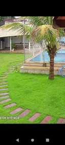 skewer site - Image 2