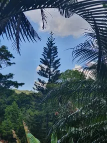 A place to enjoy nature - Image 3