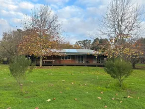 ‘Applewood’ - Image 3