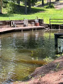 The Pelican at Toledo Bend - Image 2