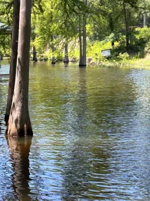 The Pelican at Toledo Bend - Image 4