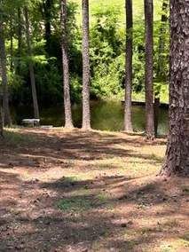 The Pelican at Toledo Bend - Image 5