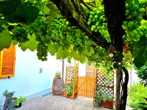 San Leonardo - Patio and Private Parking - Image 4