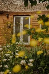 Kiwai Lodge - Bungalow - Image 4