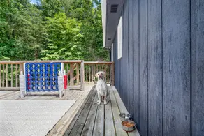 Secluded Nolin Lake/Mammoth Cave Retreat + Firepit - Image 5