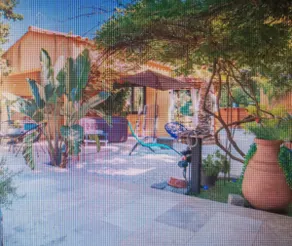 Colorful palm tree house - Image 5