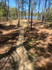 3 bedroom 2 1/5 secluded acres on the bay. - Image 4