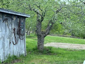 Secluded Orchard Cabin - Image 2