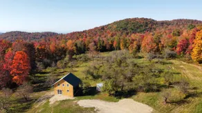 Secluded Orchard Cabin - Image 5
