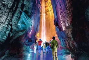 Free Ruby Falls Ticket & More -Fenced in yard-Dogs - Image 5