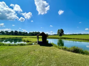 Green Acres - Image 3