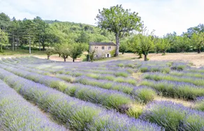 Bastide de l'Esclat - Lavender fields & Pool - Image 2
