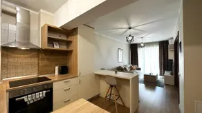 One-Bedroom Apartment with Terrace - Image 5