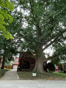 Ginkgo House near Illinois Wesleyan - Image 2