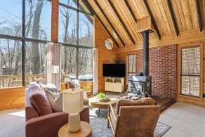 Dog-Friendly A-Frame with Hot Tub and Firepit - Image 2