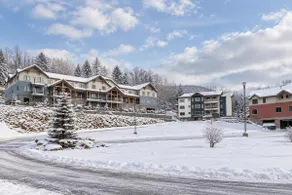 Mountainside 1-BR Ski-In/Out Okemo Retreat - Image 2