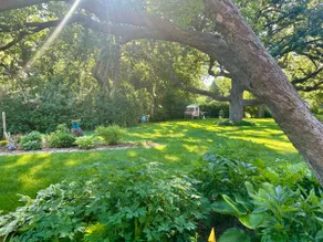 Midcentury Tranquil Escape: Your Peaceful Retreat. - Image 3