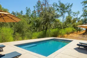 Wine Country Escape | Pool | Spa | Bocce | Dog OK - Image 2