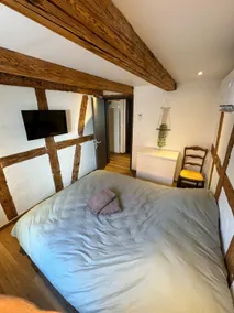 Alsatian house in the center of Alsace - Image 5