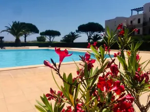 Studio • balcony with sea view • direct beach access • pool - Image 2