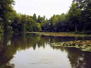 Jonny’s Hideaway - Image 4