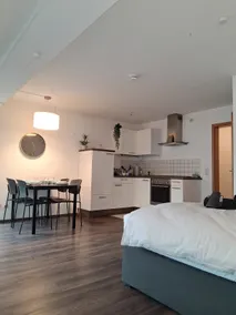 GreenTreeHomes - Studio with balcony & lake view - Image 3