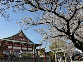Stay in Shin-chan’s Hometown | 4 min Station - Image 4